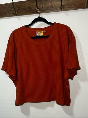 Big Bud Press Boxy Ribbed Short Sleeve Tee in Rust Orange